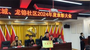 盛世新天地物業(yè)榮獲2024年社區(qū)表彰大會獎項(xiàng)